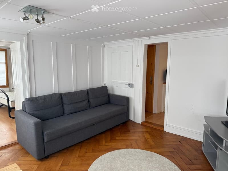 Living room with grey sofa, TV stand, and white rug on wooden floor.