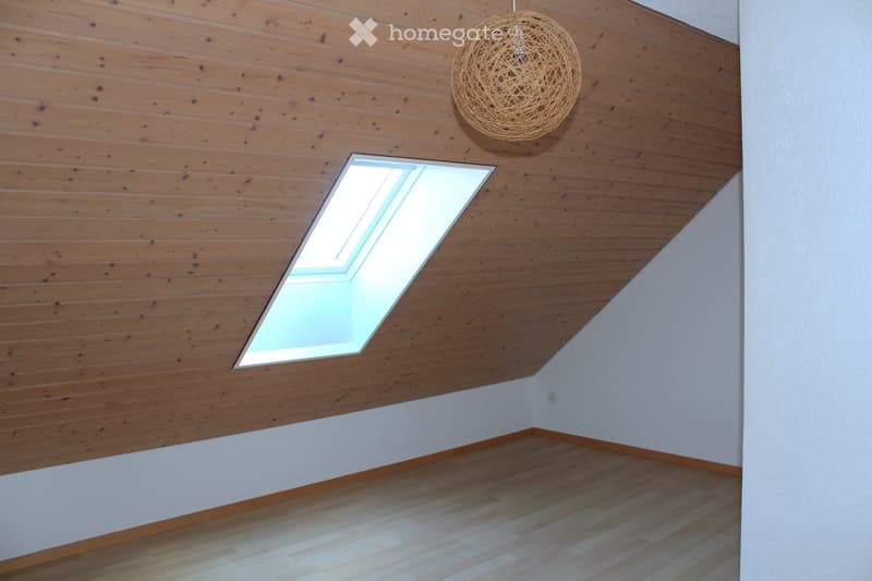 Empty room with wooden walls and floor, a skylight window, and a hanging woven light fixture.
