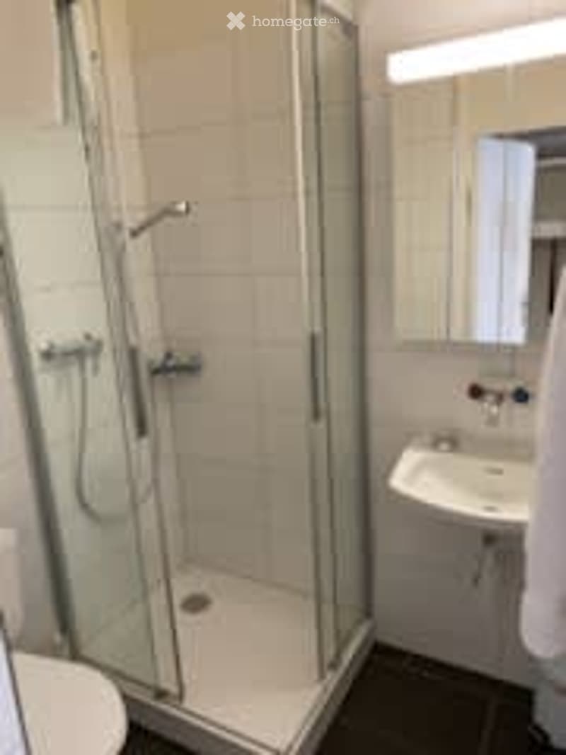 Modern bathroom with white tiles, glass-enclosed shower, toilet, sink, and mirror.