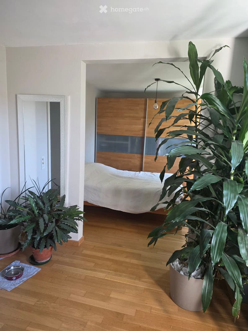 A modern bedroom with wooden flooring, a large bed with a wooden headboard, and several potted plants. A mirror is mounted on the wall, and a pet bowl is visible on the floor.