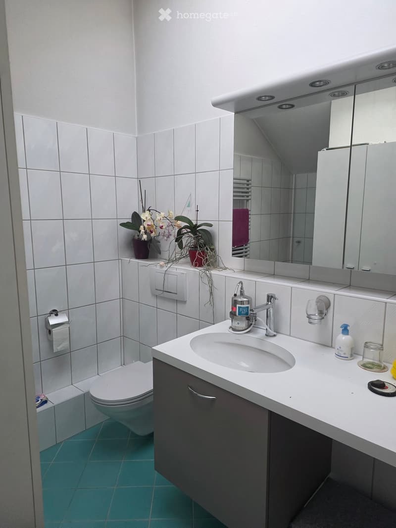 Modern bathroom with white tiles, a white sink with a chrome faucet, a large mirror, a toilet, and a flower pot on the windowsill.