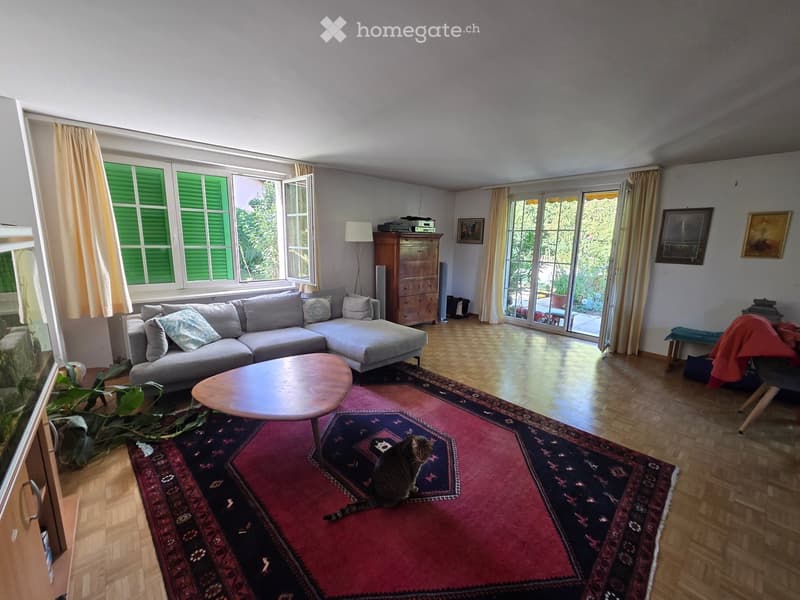 Bright living room with large windows, grey sectional sofa, wooden coffee table, colorful rugs, and a cat sitting on the floor.