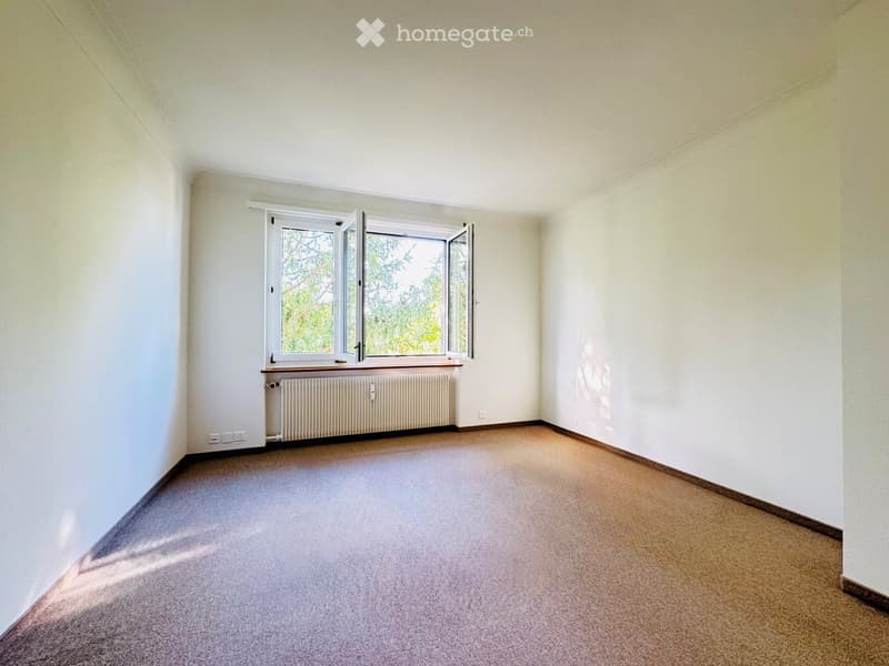 Empty room with light-colored walls, carpeted floor, and a large window with white frames and a radiator below it.