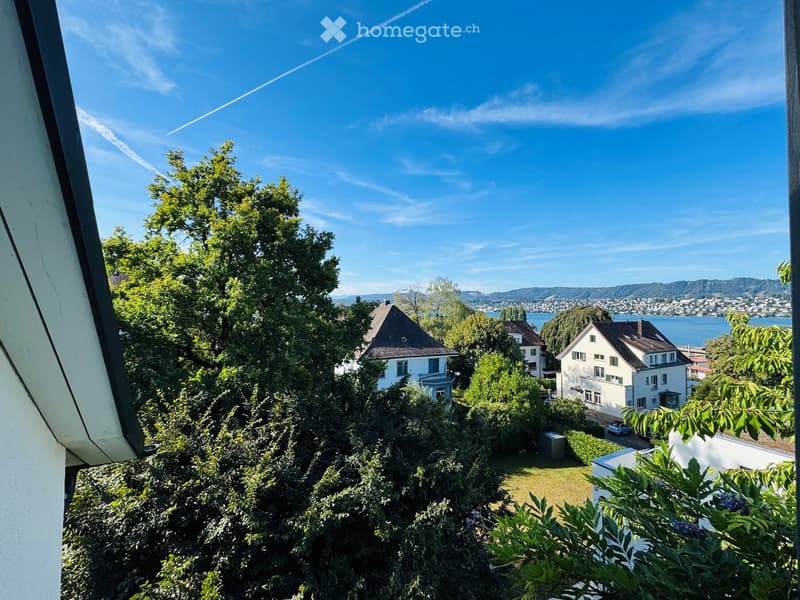 View from a balcony showing a garden with trees, a lawn, and neighboring houses with a lake and mountains in the background.