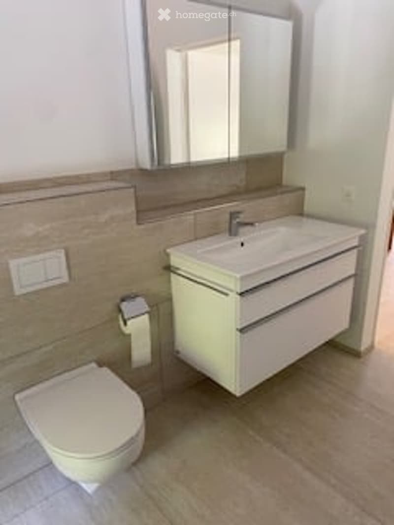 Modern bathroom with a white toilet, a light green sink cabinet, a large mirror, and a wooden floor.