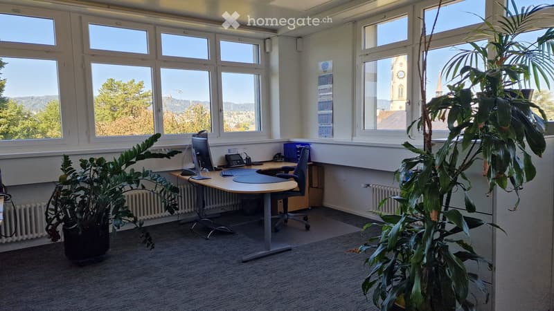 Bright office space with large windows, a desk with a computer setup, a chair, and potted plants.
