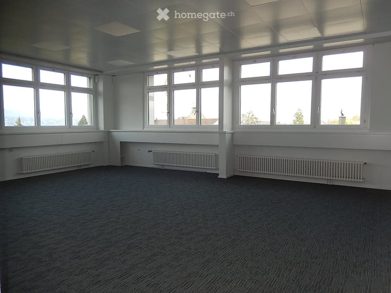 Empty room with large windows, radiators, and grey carpeted floor.