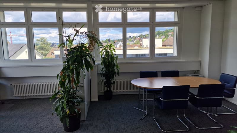 Bright meeting room with large windows, a round wooden table, six blue chairs, and two potted plants.