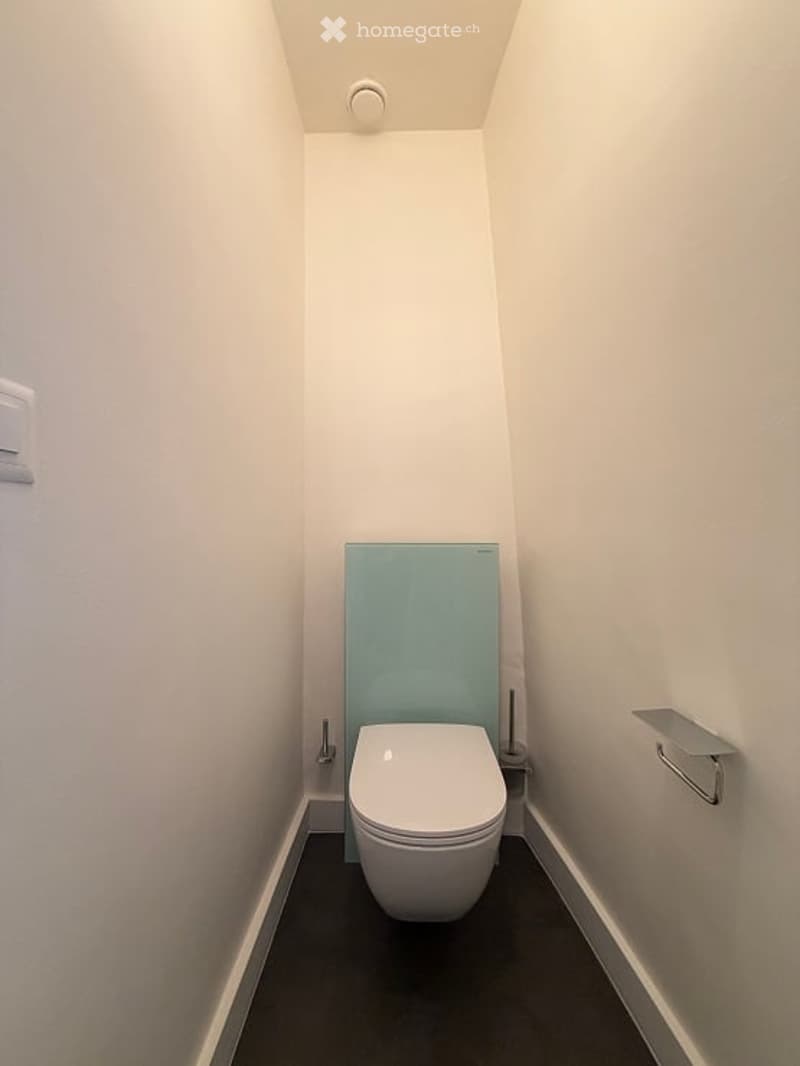 Modern, compact bathroom with white walls, a toilet, and a glass shower screen.