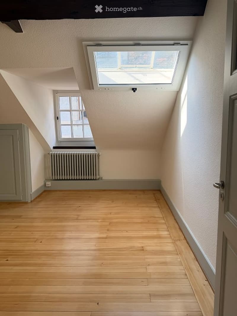 Empty attic room with wooden flooring, white walls, and two windows, one of which is a skylight. The room has a slanted ceiling and a radiator under one window.