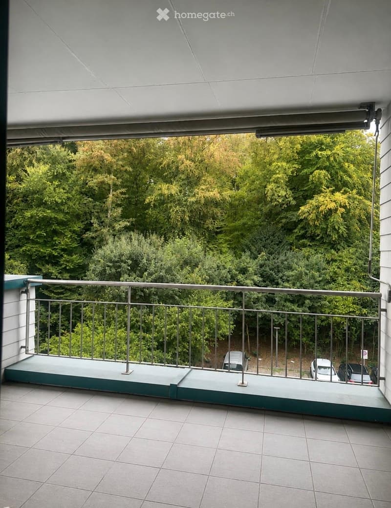 Balcony with tiled floor, metal railing, and retractable awning, overlooking a green, tree-filled area with parked cars below.