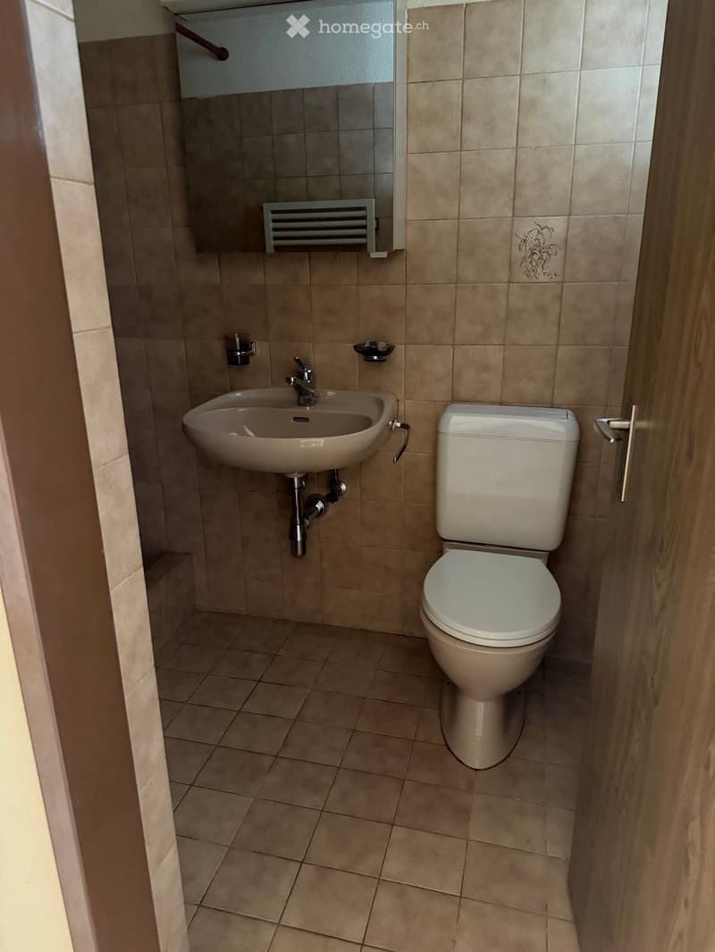 Small bathroom with beige tiles, a toilet, a sink with a faucet, a mirror, and a radiator above the sink.