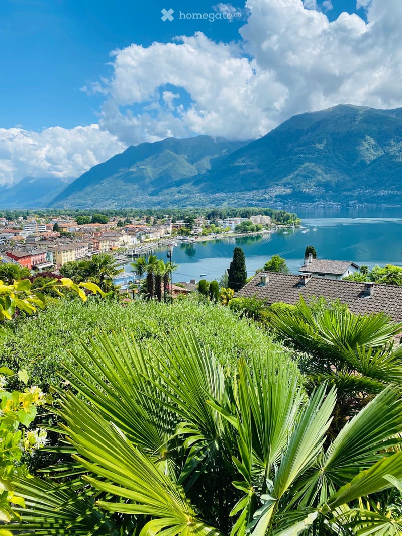 A scenic view of a town by a lake with mountains in the background, featuring lush greenery and palm trees in the foreground.