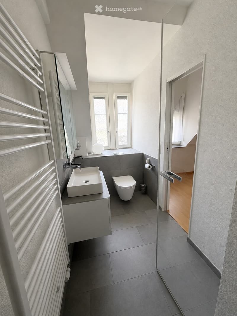 Modern bathroom with a white sink, toilet, radiator, and mirror. The space features grey tiles and a glass shower enclosure leading to an adjacent room.