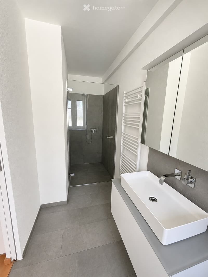 Modern bathroom with a white sink, chrome faucet, mirrored cabinet, radiator, and a glass-enclosed shower area.
