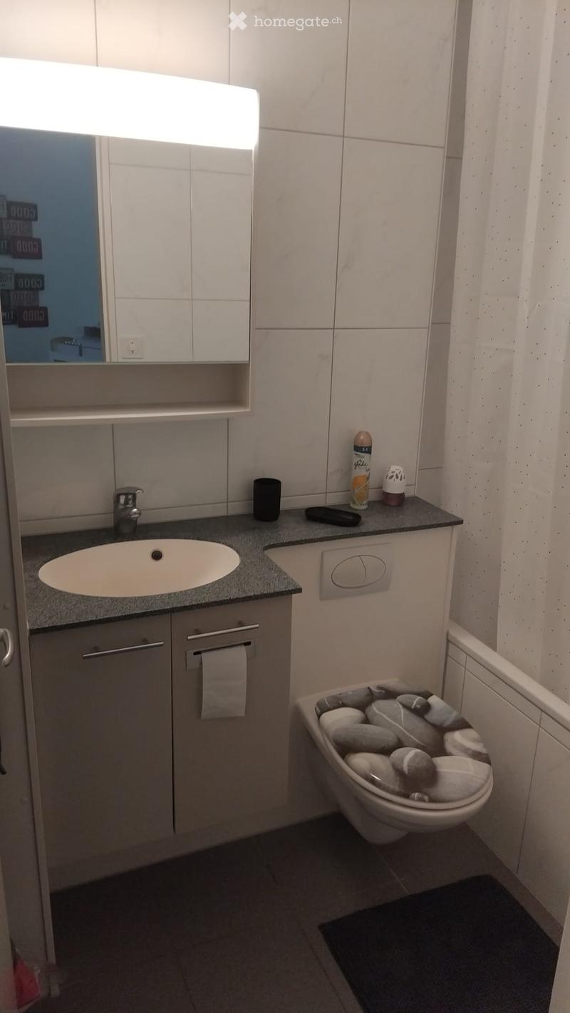 Modern bathroom with a sink, mirror, toilet with decorative stones, and a cabinet. The sink has a modern faucet, and the countertop holds a few personal items.