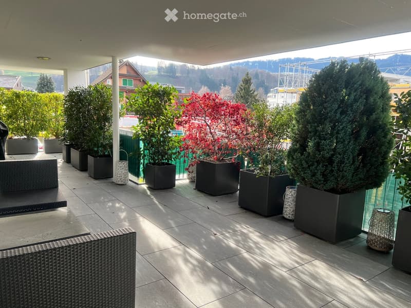 a terrace with garden furniture and plants in black planters, large green trees, sunny