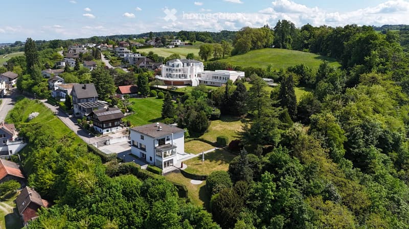 Aerial view of a residential area with multiple houses, lush greenery, and open fields.