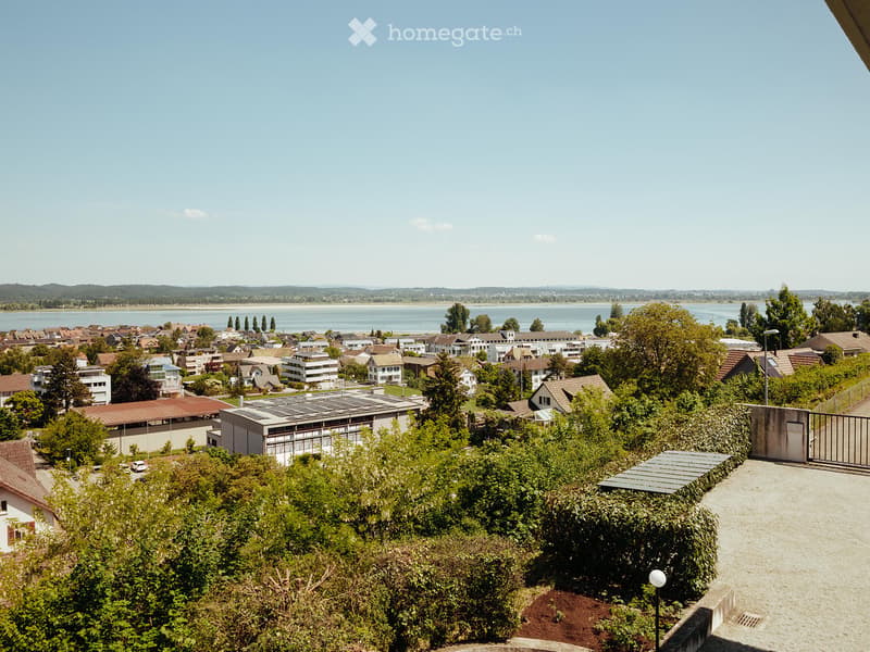 A panoramic view of a suburban neighborhood with houses, trees, and a body of water in the background.