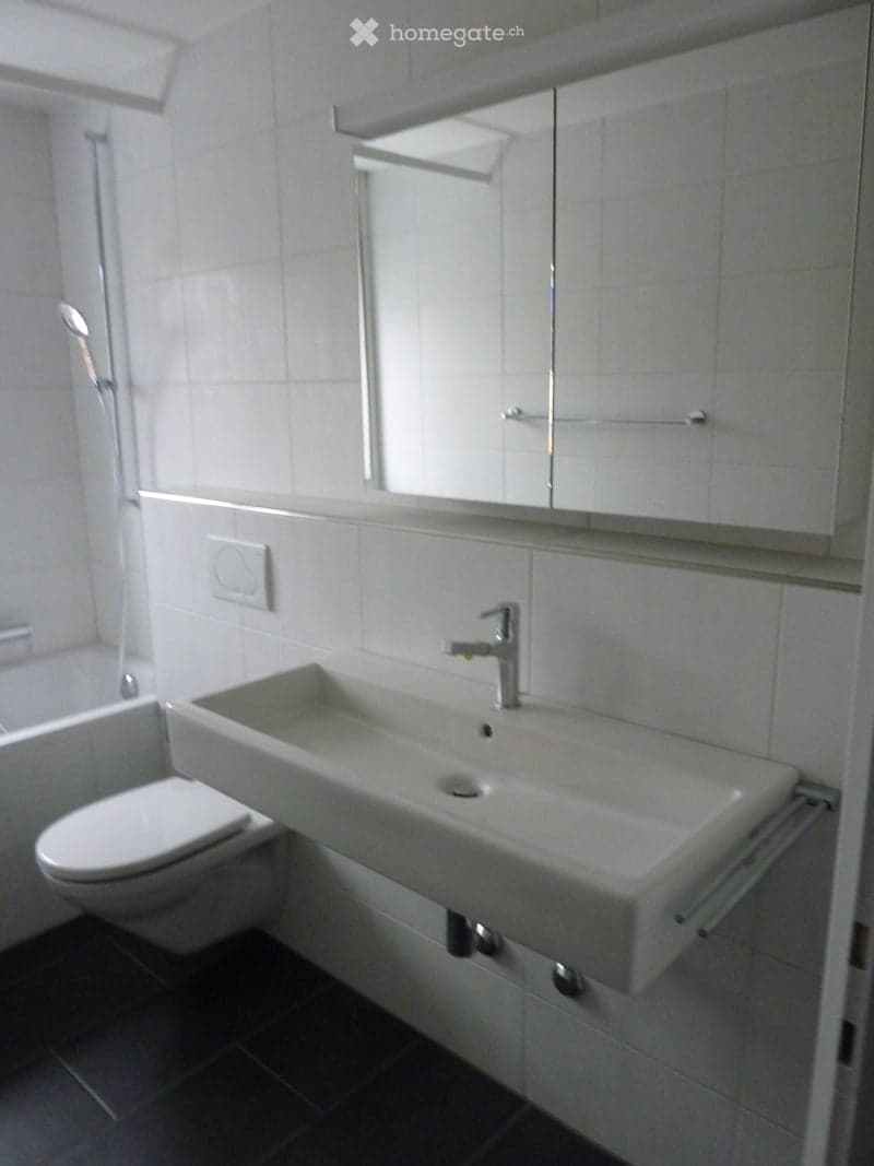 3-5-Zimmer-Wohnung an zentraler Lage in Reinach zu vermieten (10)