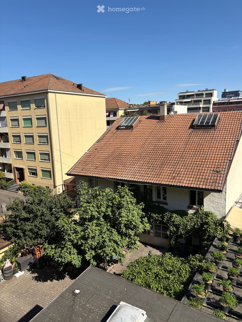 A rooftop garden with various potted plants and greenery, surrounded by neighboring buildings with red-tiled roofs and multiple windows.