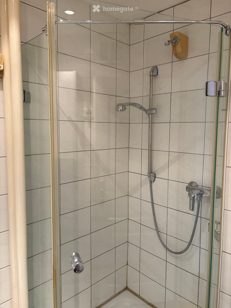 Modern shower area with white tiled walls, glass enclosure, and multiple showerheads.