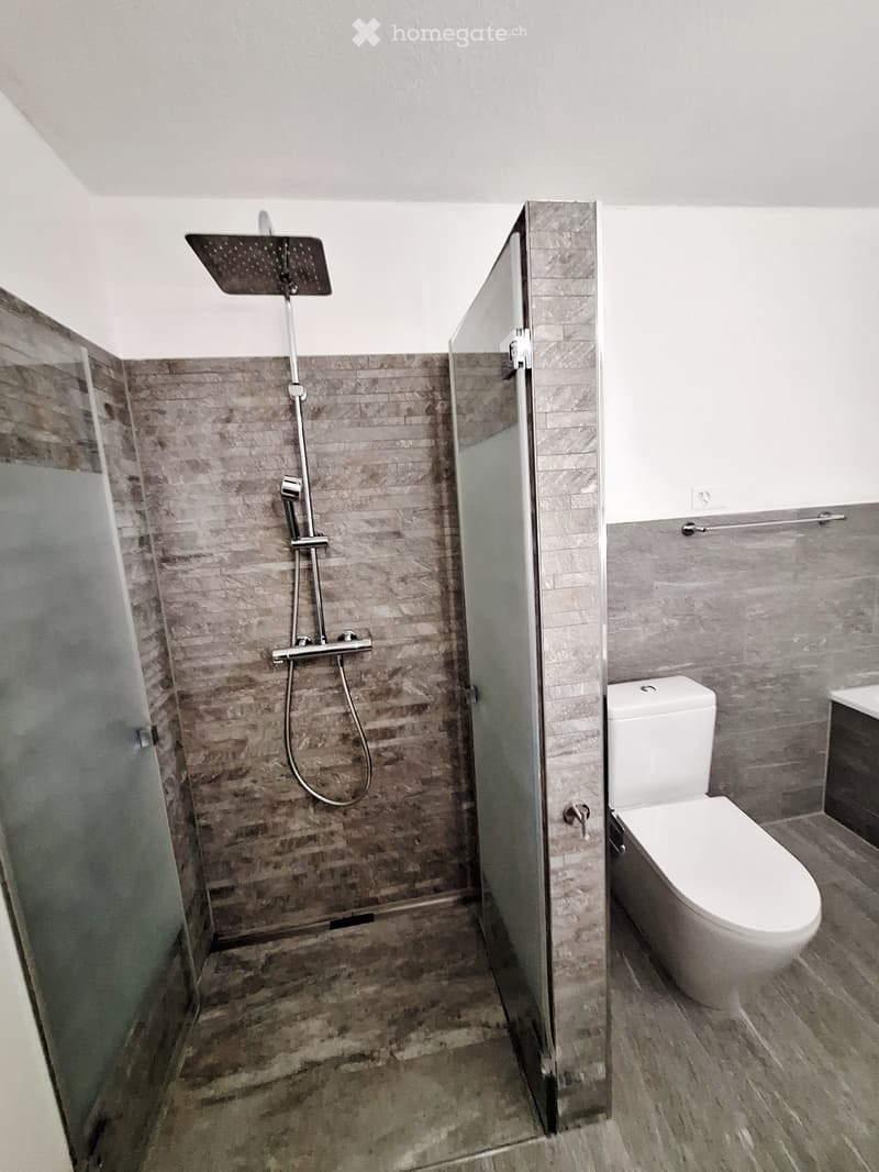 Modern bathroom with a glass-enclosed shower area, a toilet, and a sleek shower head with multiple settings.