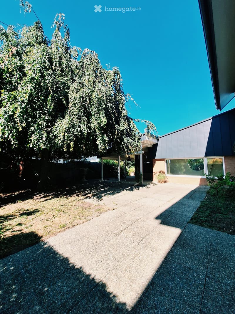 A paved pathway leads to a modern house with large windows, surrounded by trees and greenery.