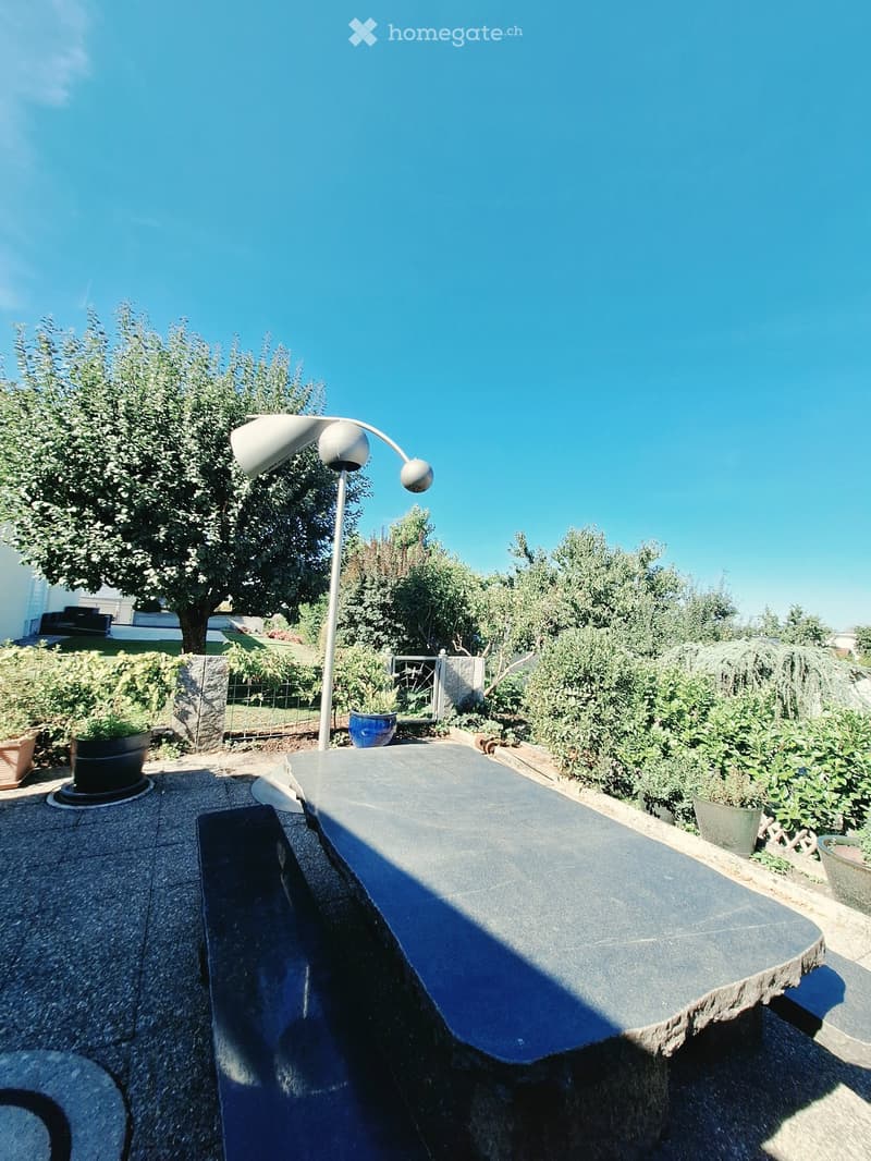 Garden area with a covered patio, potted plants, a modern lamp, and surrounding greenery under a clear blue sky.