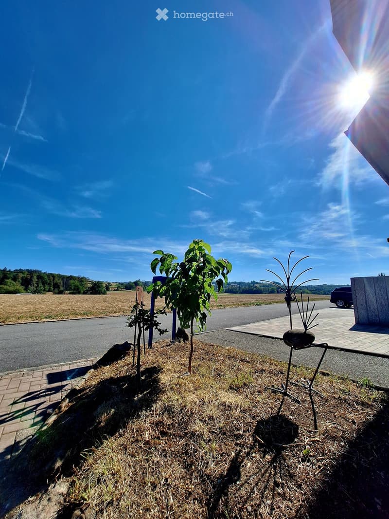 A small garden area with a few young trees and decorative metal sculptures, situated near a road with a clear blue sky and distant fields.