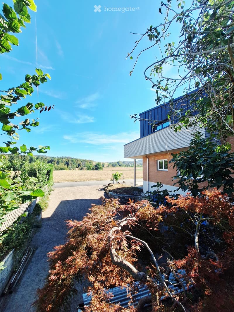 A modern two-story house with a combination of brick and blue panel exterior, surrounded by greenery and a clear blue sky.