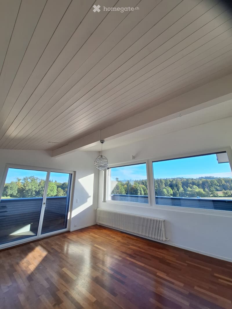 Empty room with wooden flooring, white walls, large windows, and a radiator. The ceiling has a modern, slanted design with exposed wooden beams.