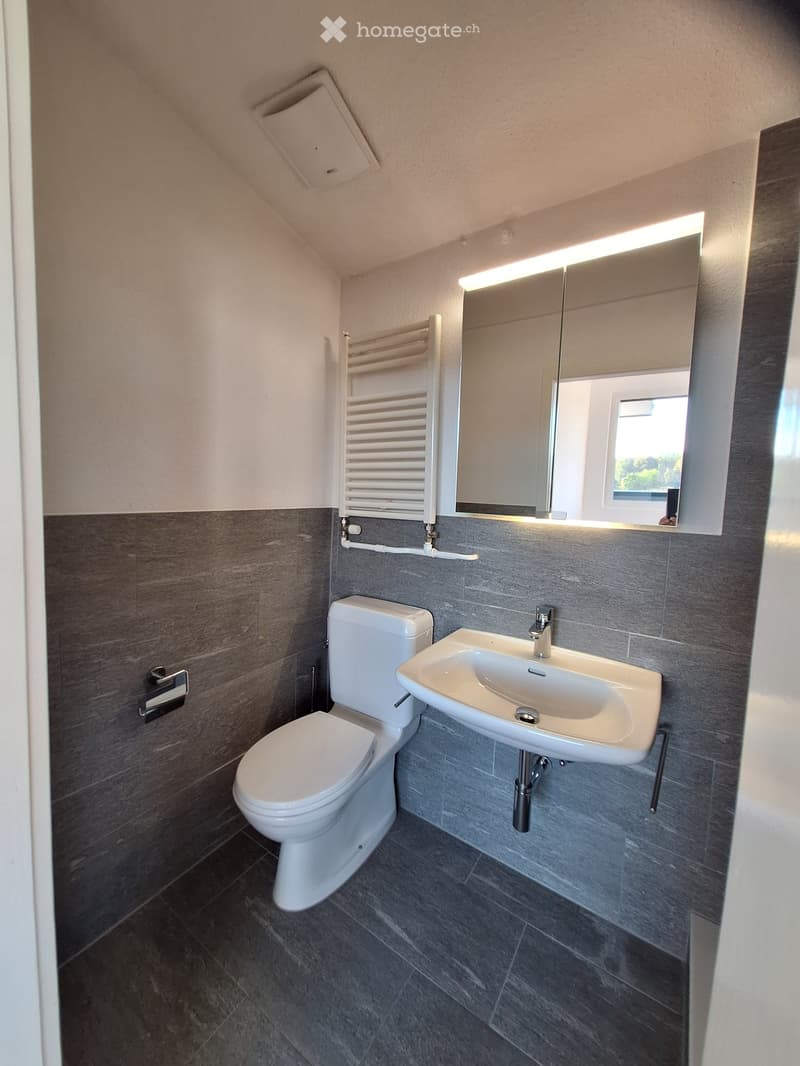 Modern bathroom with grey tiled walls, white toilet, sink, and a large mirror with built-in lighting. A radiator is mounted on the wall.