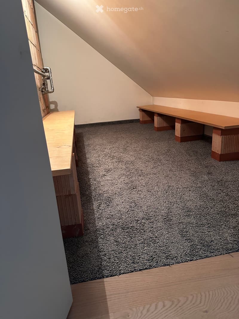 An attic room with sloped ceilings, carpeted floor, and two wooden benches placed against the walls.