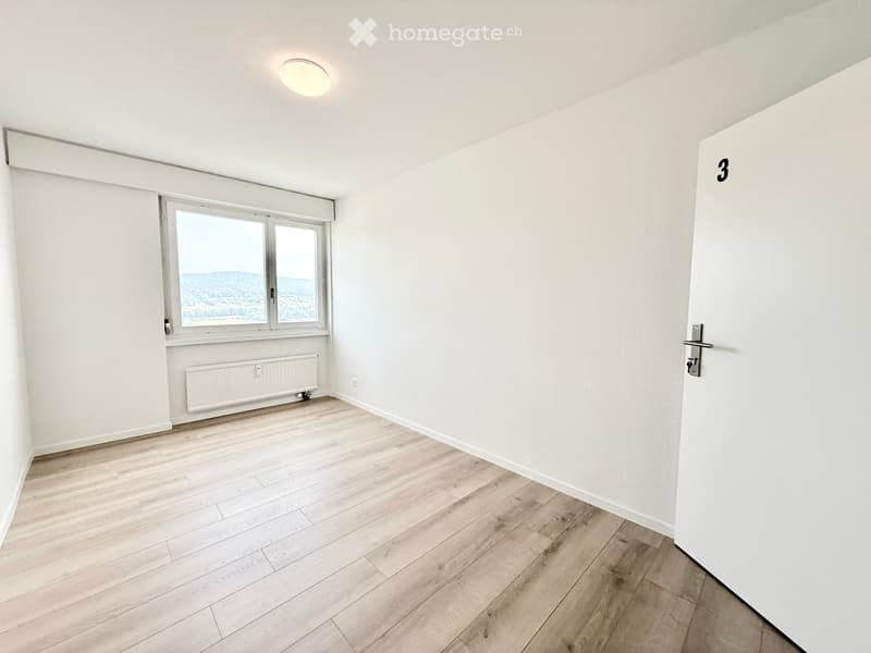 Empty room with light wooden flooring, white walls, large window with a scenic view, and a radiator below the window.