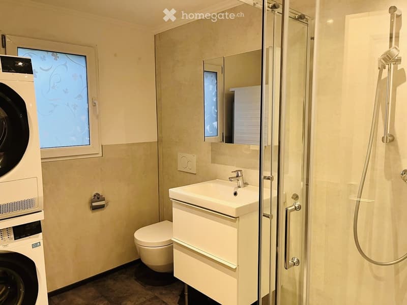 Modern bathroom with a white sink, toilet, shower, and washing machine. Features a large mirror, glass shower enclosure, and decorative window with floral pattern.