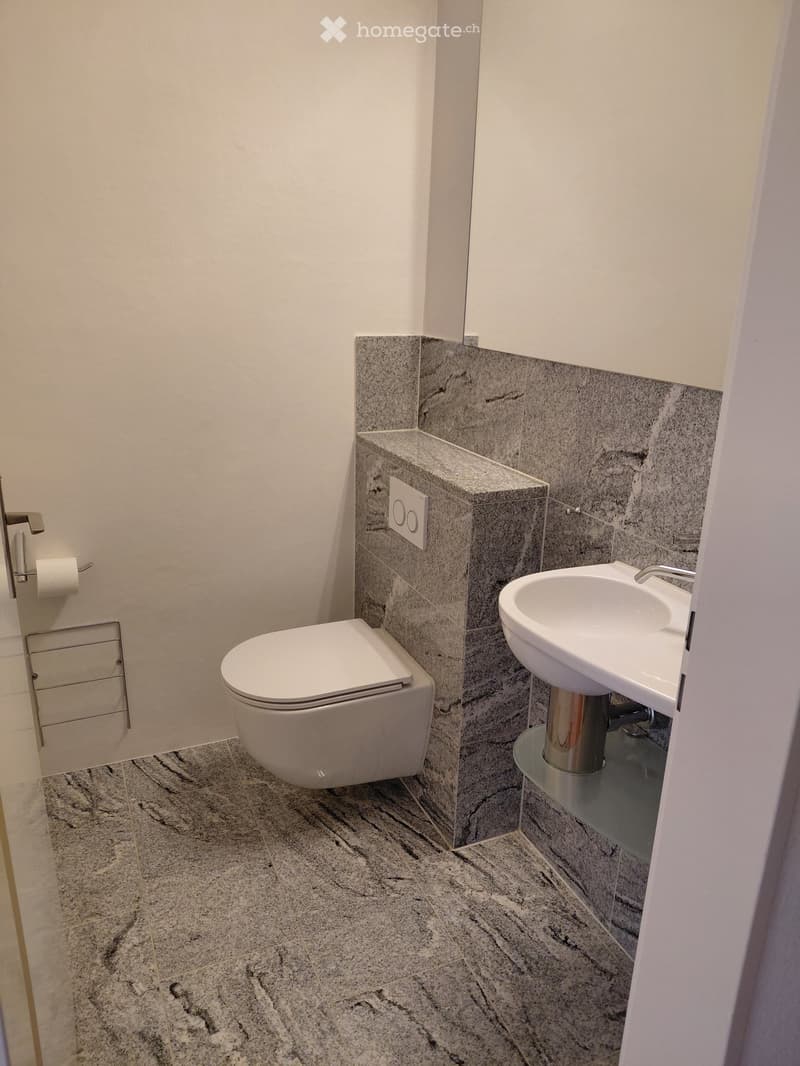 Modern bathroom with a toilet, sink, and granite-style tiles on the floor and part of the wall.
