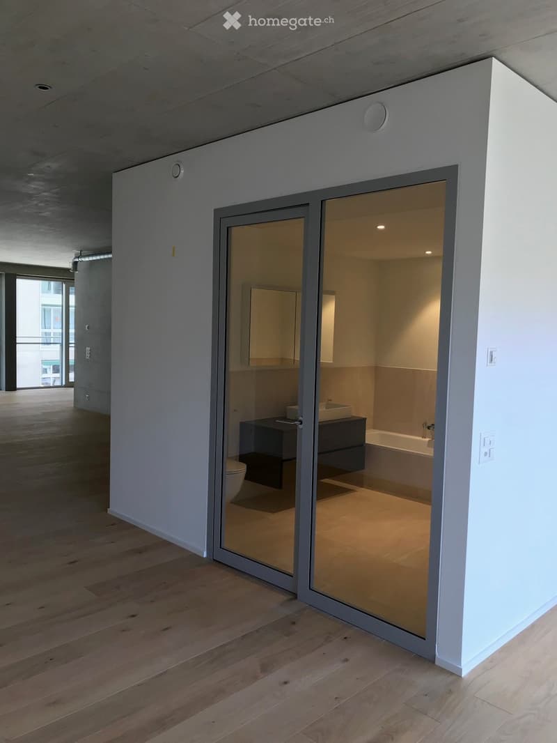 Modern bathroom with a sleek design, featuring a toilet, sink, bathtub, and cabinet, all visible through a glass door.