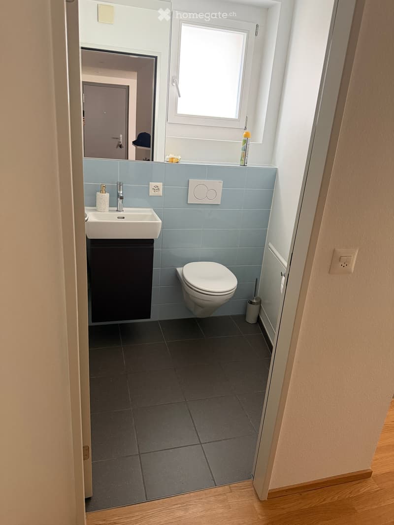 Modern bathroom with a white sink, chrome faucet, black cabinet, toilet, and a large mirror above the sink. Blue tiles on the walls and dark grey tiles on the floor.