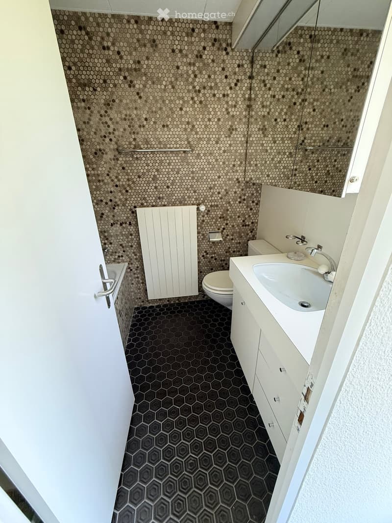Modern bathroom with hexagonal tiles on walls and floor, white sink with chrome faucet, toilet, and a white radiator.