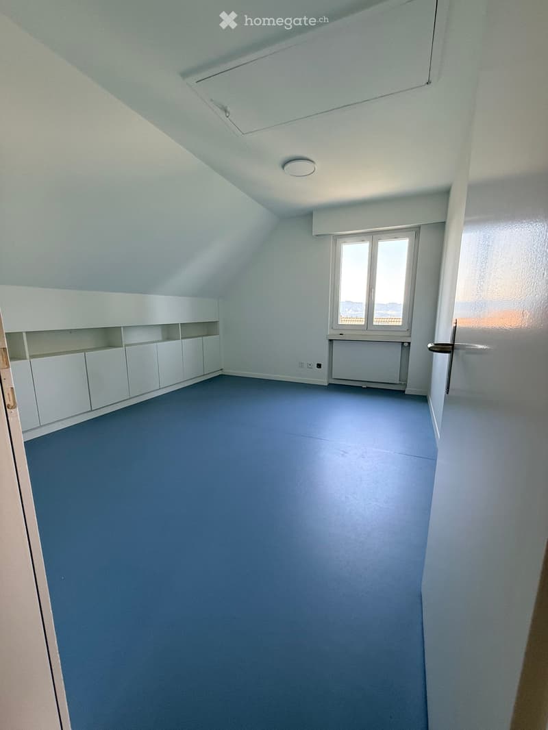 Empty room with light blue walls, blue carpeted floor, white built-in cabinets, and a window with a view.
