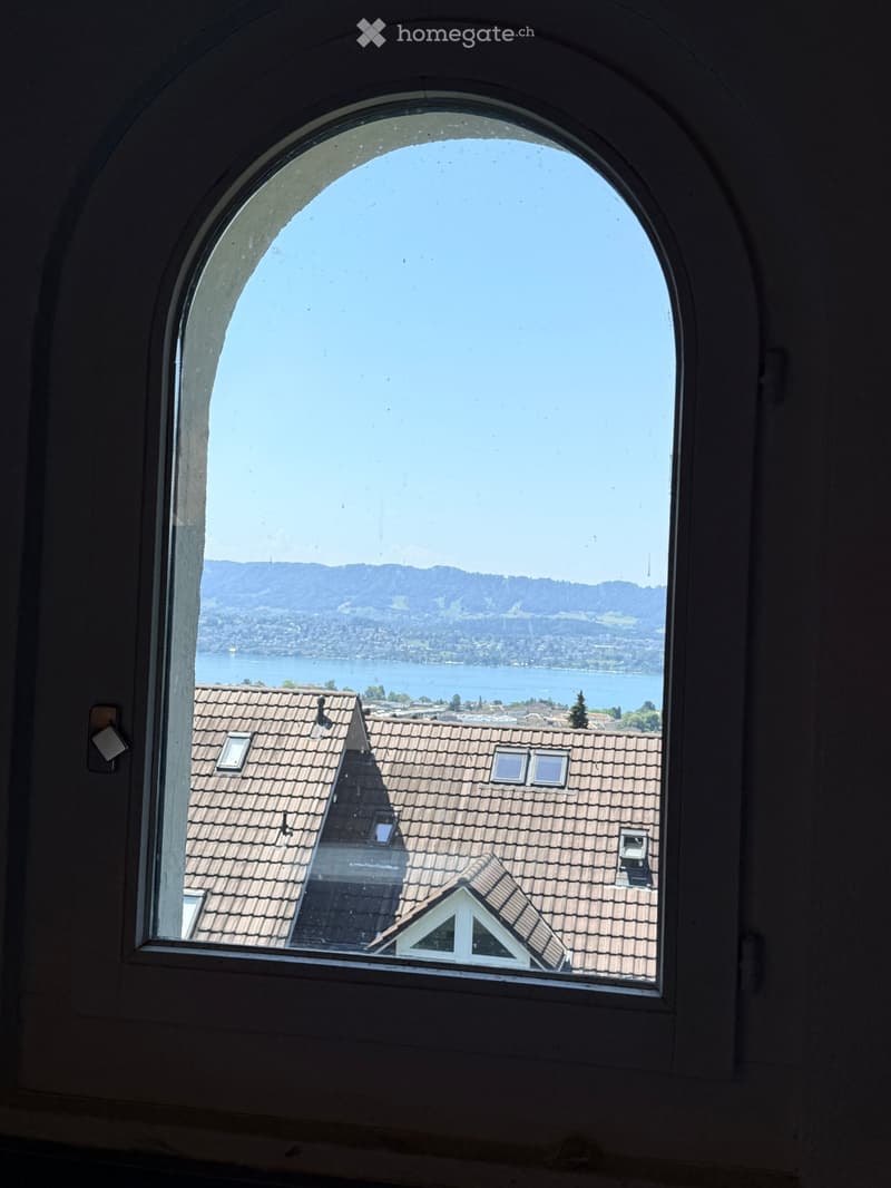 View from a window showing a scenic landscape with a lake, distant mountains, and rooftops of buildings.