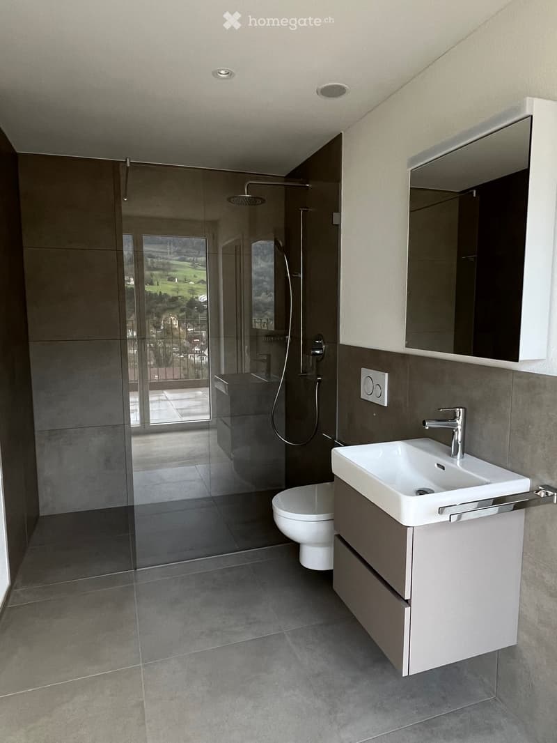 Modern bathroom with a white sink, chrome faucet, toilet, glass-enclosed shower, and a large mirror above the sink. The space features grey tiles and a sleek, contemporary design.