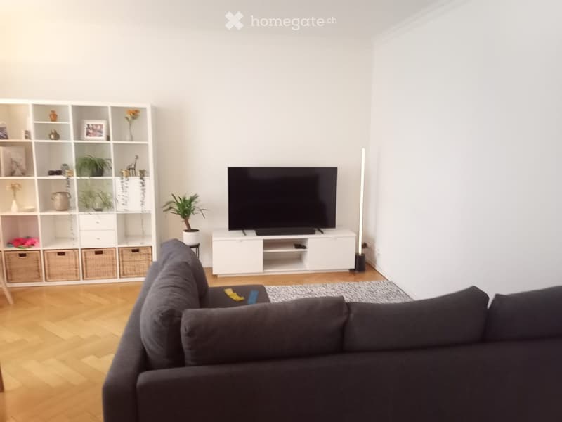 Modern living room with a grey sofa, flat-screen TV on a white stand, white shelving unit with decorative items, and a potted plant on the floor.