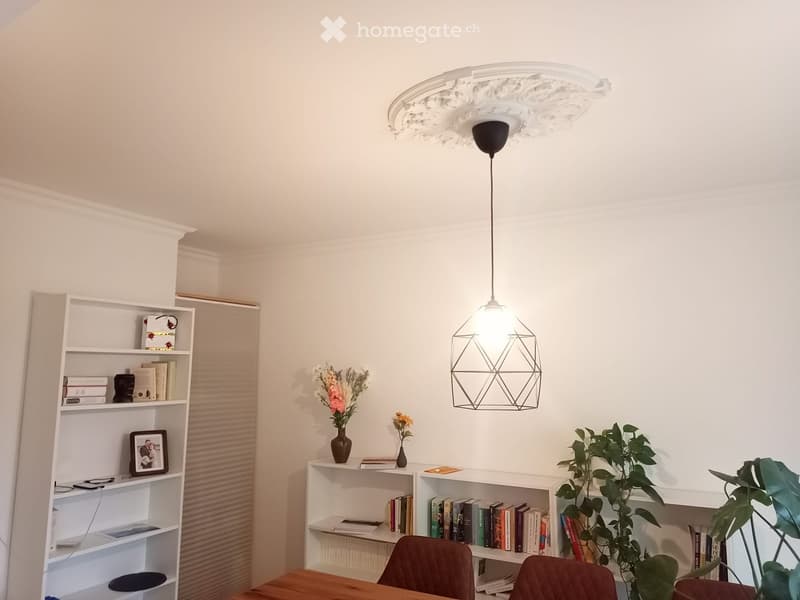 A modern, well-lit room with a wooden table, two chairs, multiple bookshelves filled with books and decorative items, a pendant light fixture, and a large leafy plant in the corner.