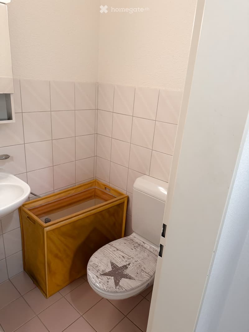 Small bathroom with a toilet, sink, and wooden cabinet. The toilet seat has a star-patterned cover.
