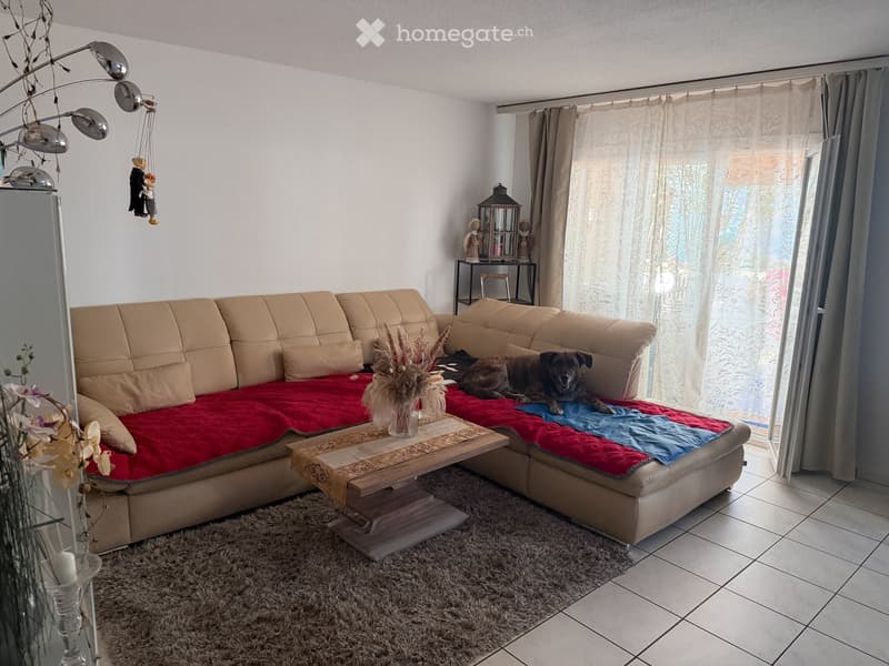 Living room with a beige sectional sofa, red and blue blankets, a wooden coffee table, a floor lamp, and a vase with dried flowers. A dog is resting on the sofa.