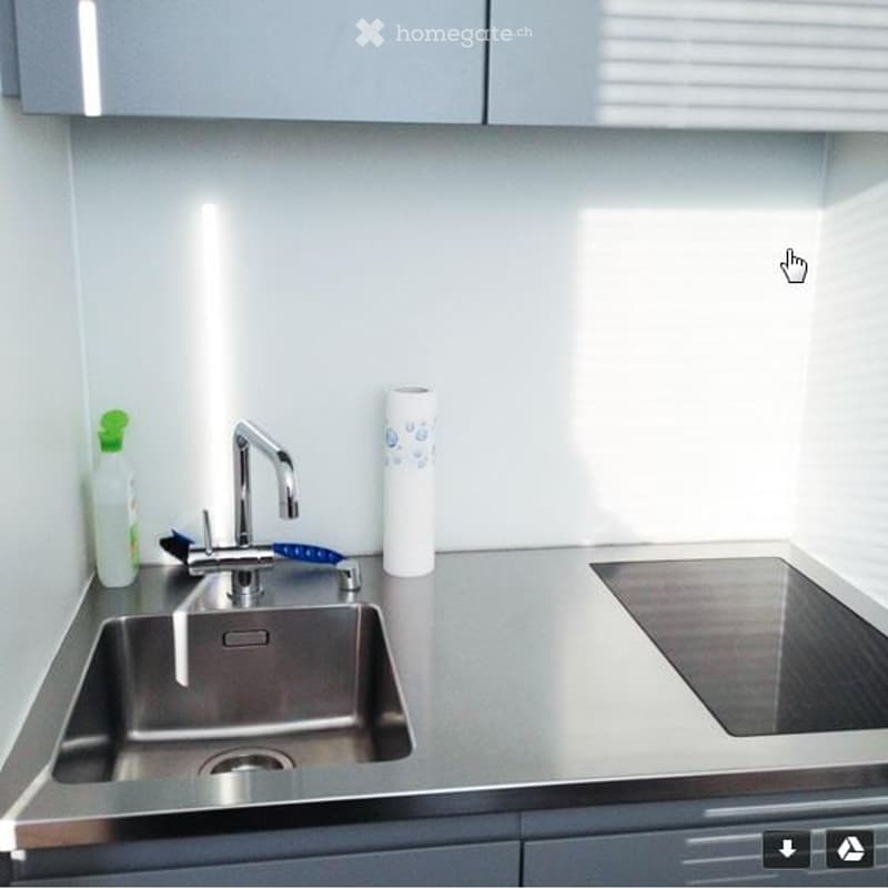 modern kitchen with stainless steel sink and countertop, single burner stove top, cabinet, dish washer, sink, and faucet