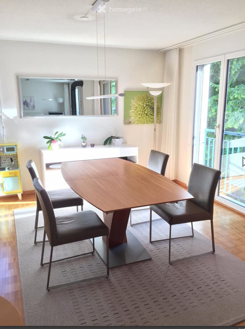 Modern dining room with a wooden dining table, four black chairs, a white cabinet, a large mirror, a floor lamp, and potted plants on the cabinet.