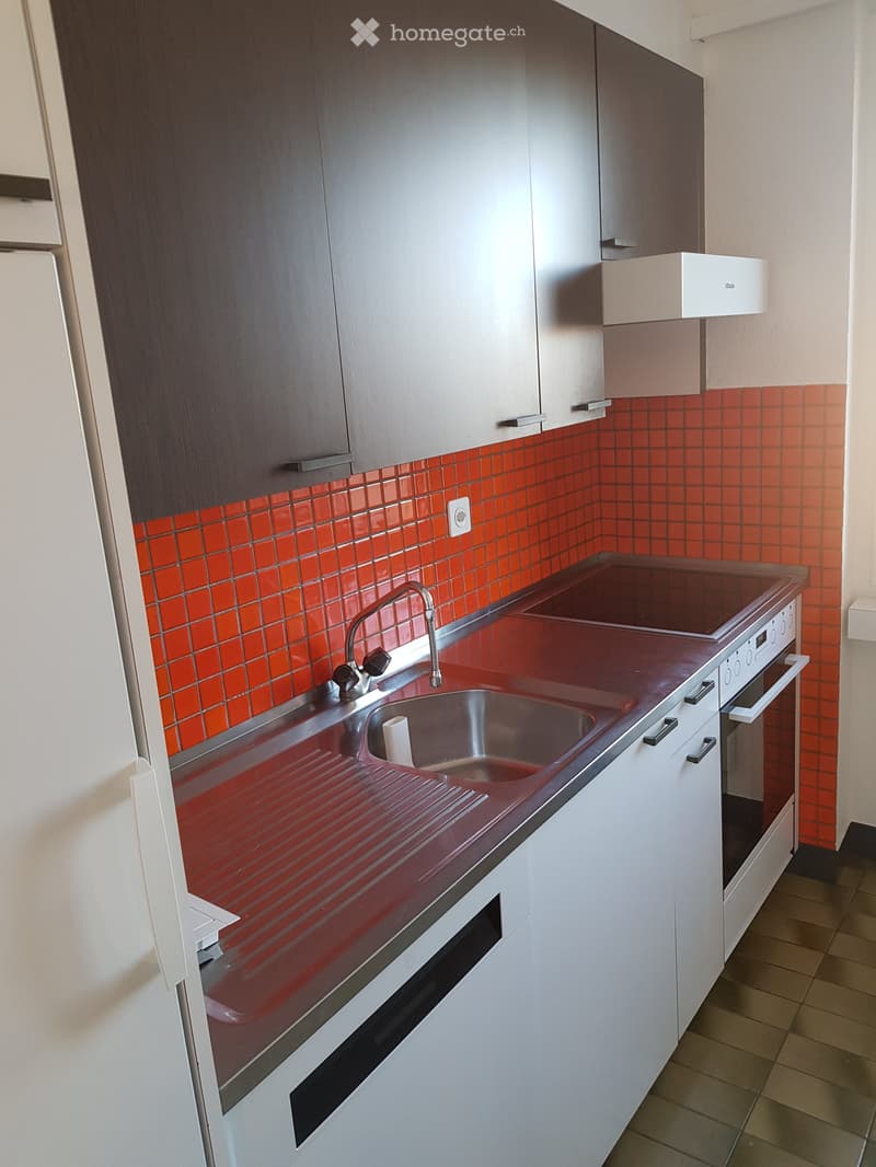 Modern kitchen with red tiled backsplash, stainless steel sink, faucet, and built-in oven. Cabinets are white and grey.